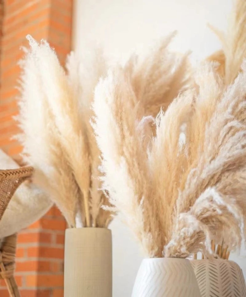 Bluejw DPG003 4ft Natural Dried Pampas Grass - Beige Large Plumes for Wedding Home Decor - Decorative Dried Plants Arrangement - Image 3