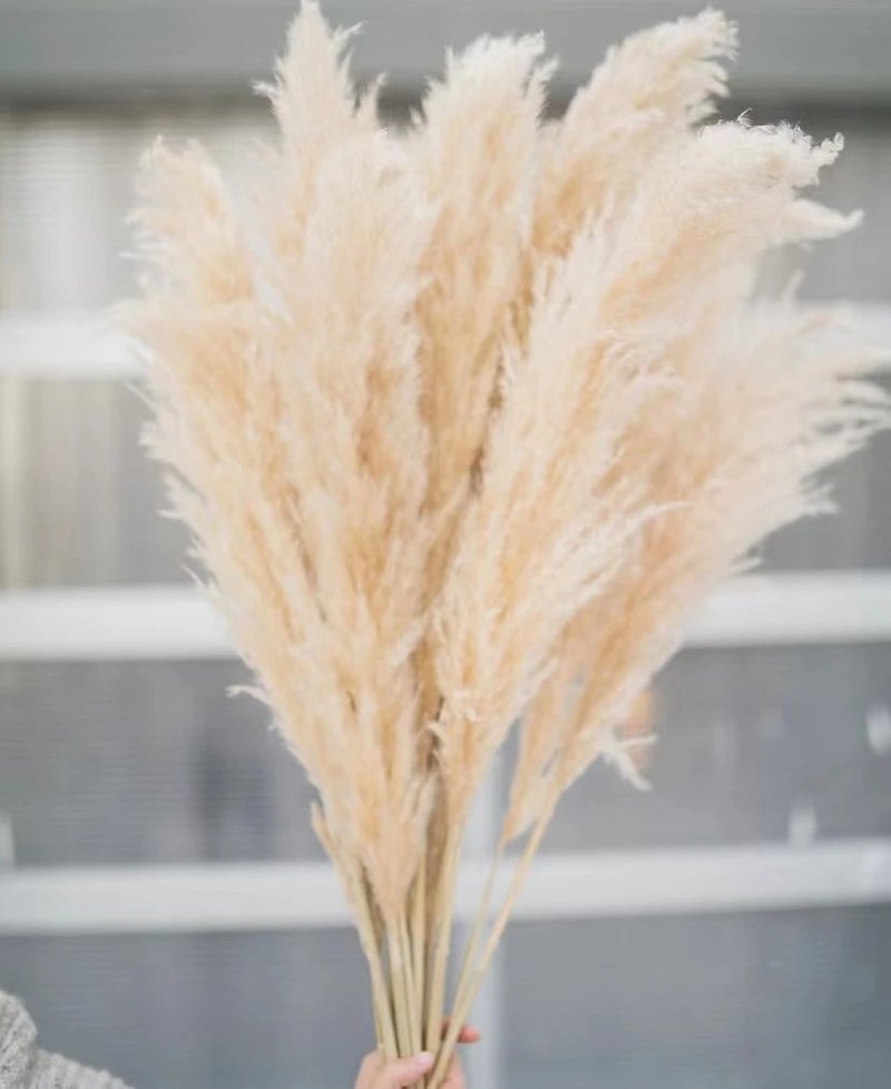 Bluejw DPG003 4ft Natural Dried Pampas Grass - Beige Large Plumes for Wedding Home Decor - Decorative Dried Plants Arrangement - Image 2