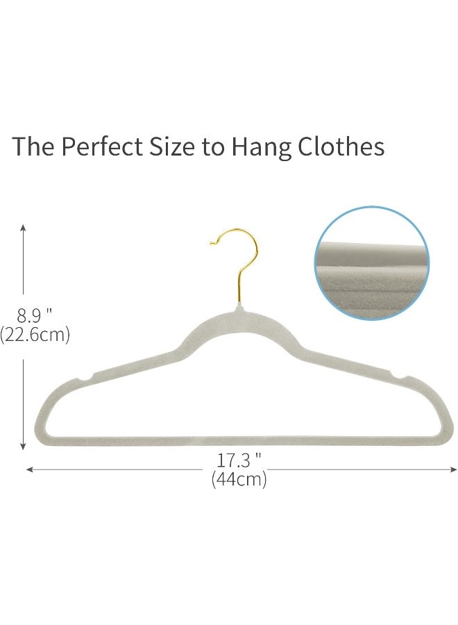 ManGotree Velvet Hangers, Coat&Suite No-Slip Ultra-Slim Space Saving Sturdy&Durable Clothes 360 Swivel Golden-Plated Hook, 36 Pack, Grey One Size MG36 - Image 3