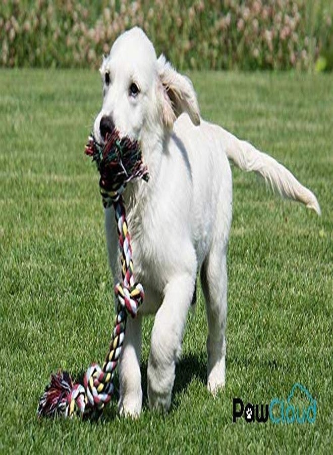 PawCloud Cotton Chew Dog Rope Toy, 14 Inch Large, 3 Knot - Multicolor - Image 4