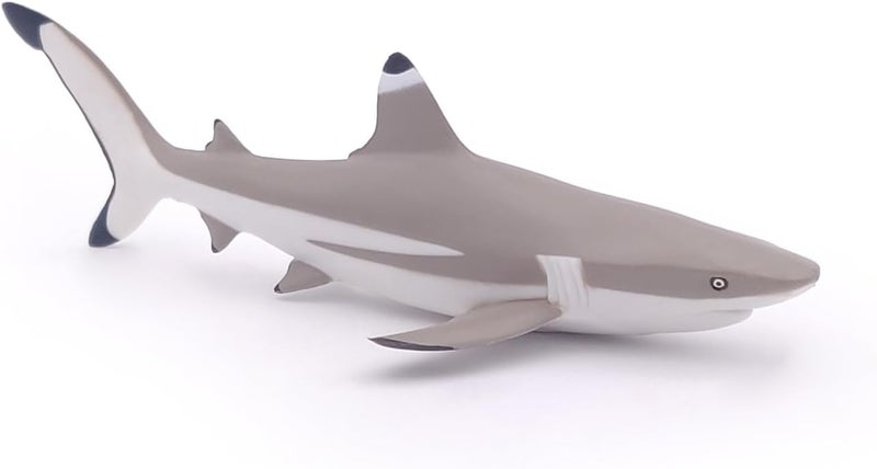 Papo Realistic Blacktip Shark Figure Ages 3 Marine Life Collection Educational Play Marine Predator Gift Idea Toy for Girls and Boys - Image 4