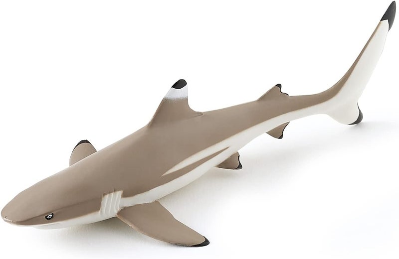 Papo Realistic Blacktip Shark Figure Ages 3 Marine Life Collection Educational Play Marine Predator Gift Idea Toy for Girls and Boys - Image 1