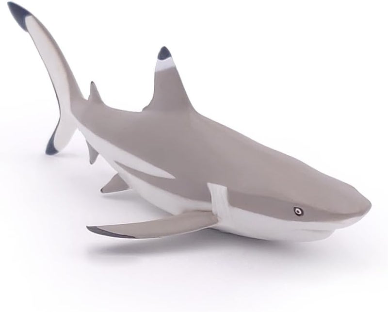 Papo Realistic Blacktip Shark Figure Ages 3 Marine Life Collection Educational Play Marine Predator Gift Idea Toy for Girls and Boys - Image 5