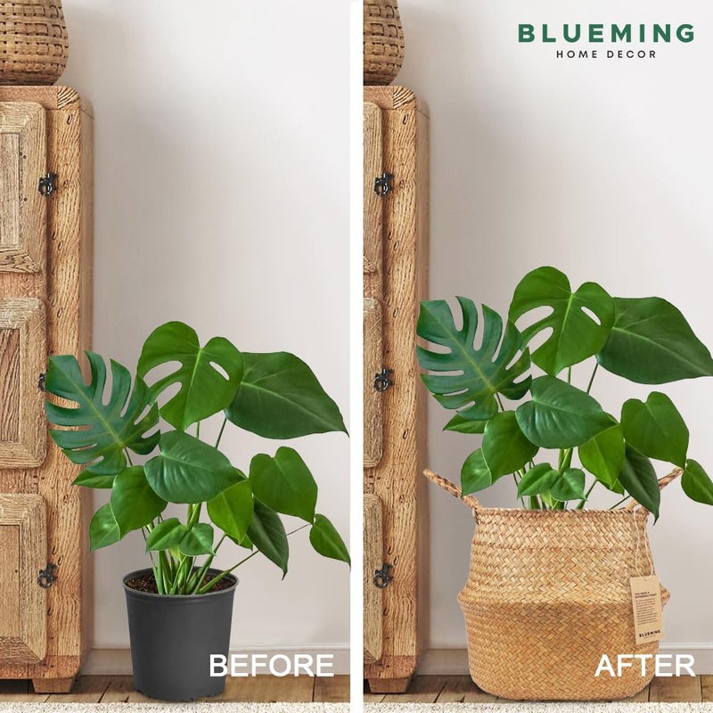 Blueming Home Decor Plant Basket â€“ Olive Tree Pot for Indoor Fake Trees, 9-10 Inch Woven Wicker Planter Baskets for Faux Artificial House Plants (Original, Large) - Image 4