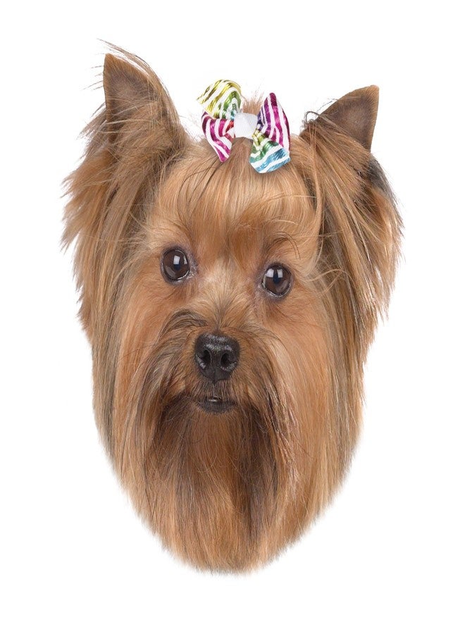 Aria Zoey Bows for Dogs, 48-Piece Canisters - Image 3