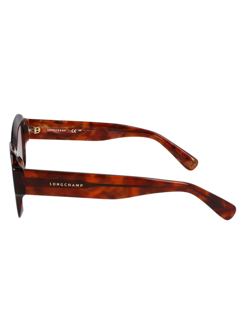 Longchamp نظارة شمسية نسائية بتصميم عين القطة مع حماية من الأشعة فوق البنفسجية LO749S-237-5021 - مقاس العدسة: 50 - بني مزخرف - Image 4