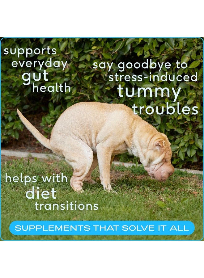 native pet Vet Created Probiotic Powder For Dogs Digestive Issues  Dog Probiotic Powder + Prebiotic + Bone Broth Powder  Gut Health For Dogs  232 Gram 6 Billion Cfu  Probiotics Dogs Love(8.2 Oz) - Image 2