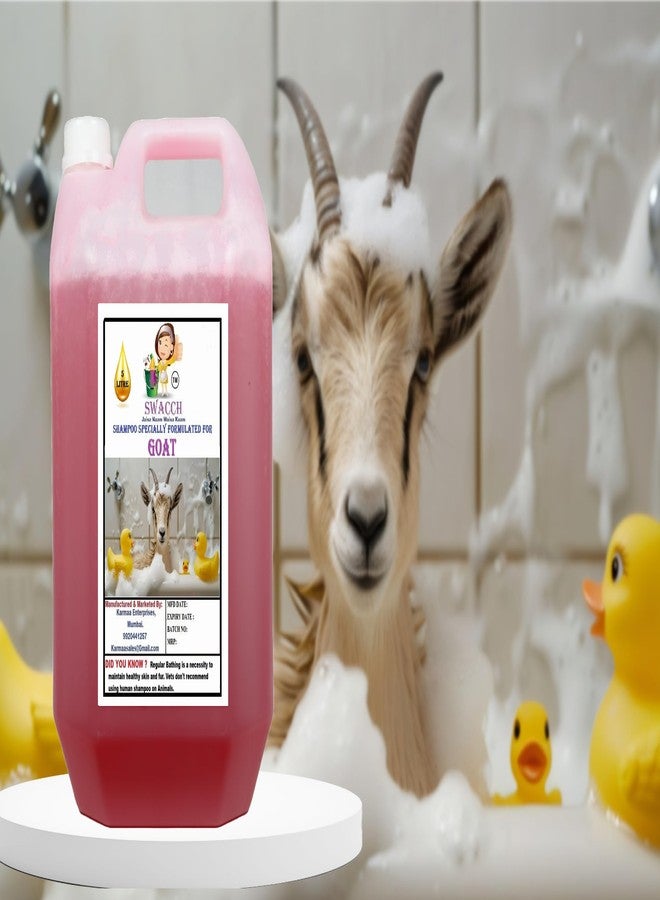 Swacch Shampoo Specially Formulated for Goat (5 Litre) Strawberry - Image 1