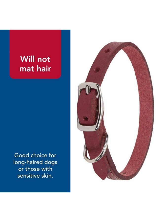 كوستال طوق كلب من الجلد المدبوغ بلون البلوط من كوستال بيت - سيركل تي، أحمر، 5/8 بوصة × 16 بوصة - Image 5