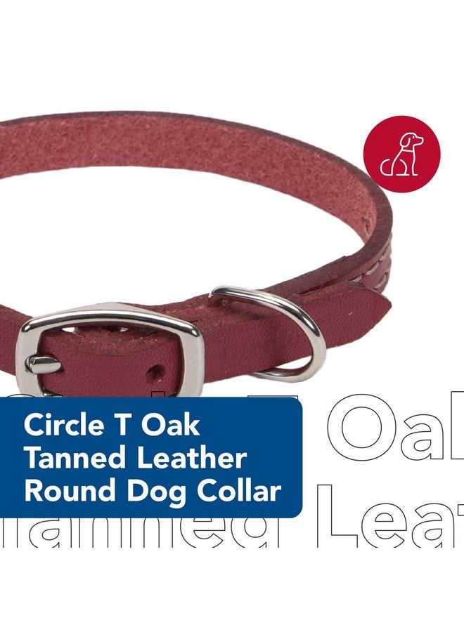 كوستال طوق كلب من الجلد المدبوغ بلون البلوط من كوستال بيت - سيركل تي، أحمر، 5/8 بوصة × 16 بوصة - Image 2