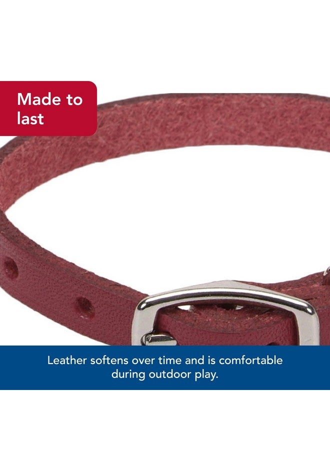 كوستال طوق كلب من الجلد المدبوغ بلون البلوط من كوستال بيت - سيركل تي، أحمر، 5/8 بوصة × 16 بوصة - Image 3