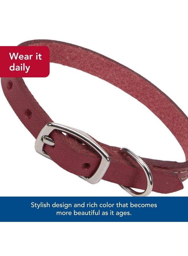 كوستال طوق كلب من الجلد المدبوغ بلون البلوط من كوستال بيت - سيركل تي، أحمر، 5/8 بوصة × 16 بوصة - Image 4