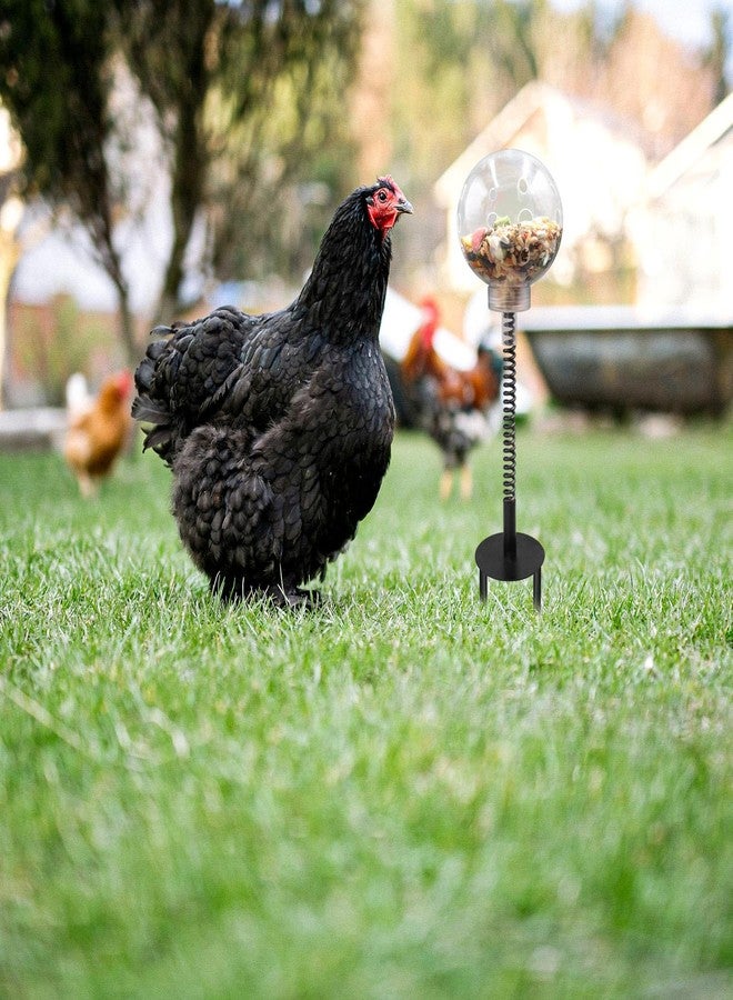 Oooct 2 Pack Chicken Pecking Toys with Swing Feeder, Coop Slow Feeder Toy for Chickens, Chicks, Ducks, Hens, Parrots & Poultry Enrichment - Image 3