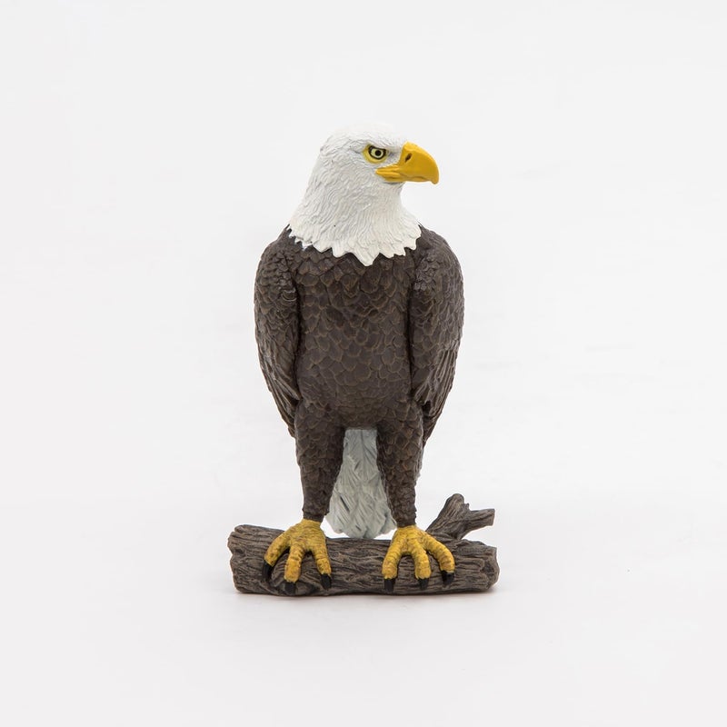 Papo  Sea Eagle  Realistic Figurine  for Ages 3  Wild Animal Kingdom Collection  Hand Painted  Highly Detailed  Durable and Educational  Gift Idea  Collectable  sea Eagle Toy - Image 3