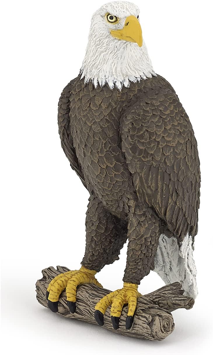 Papo  Sea Eagle  Realistic Figurine  for Ages 3  Wild Animal Kingdom Collection  Hand Painted  Highly Detailed  Durable and Educational  Gift Idea  Collectable  sea Eagle Toy - Image 1
