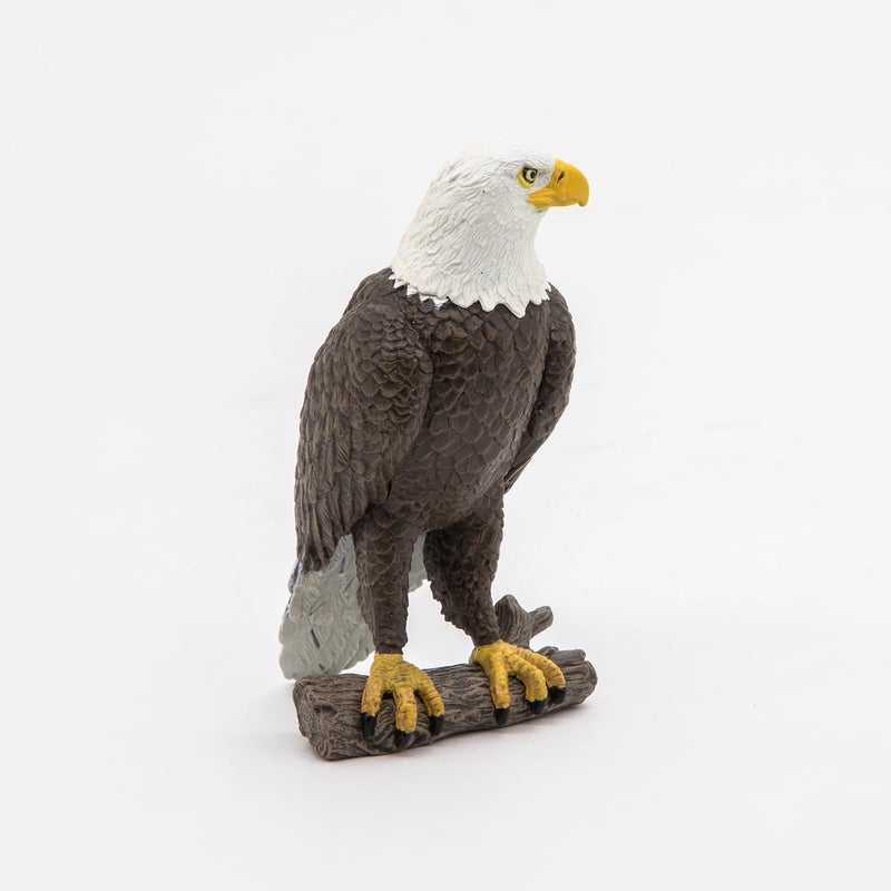 Papo  Sea Eagle  Realistic Figurine  for Ages 3  Wild Animal Kingdom Collection  Hand Painted  Highly Detailed  Durable and Educational  Gift Idea  Collectable  sea Eagle Toy - Image 4