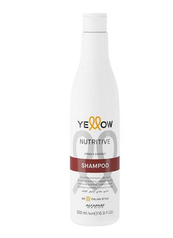 ALFAPARF MILANO - Nutritive Argan Oil Shampoo 500ml - Image 1
