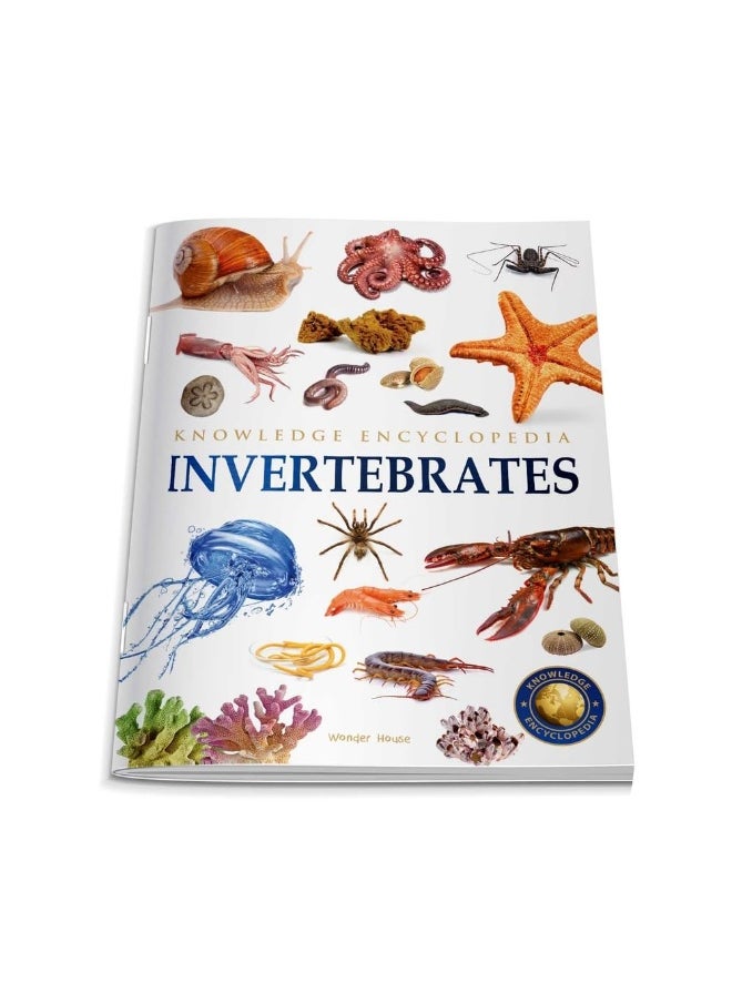 Animals - Invertebrates : Knowledge Encyclopedia For Children  - Image 3
