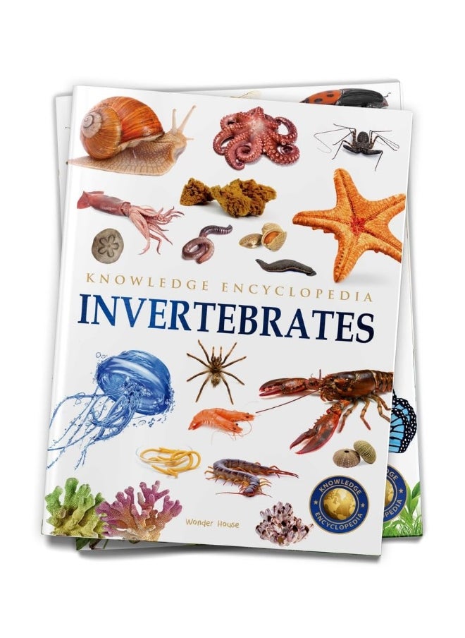 Animals - Invertebrates : Knowledge Encyclopedia For Children  - Image 1
