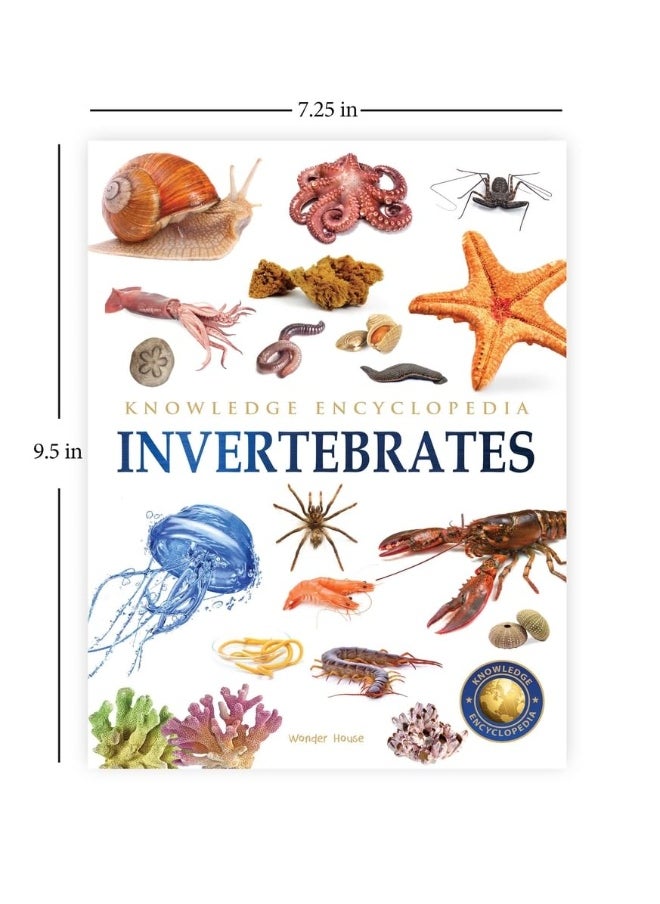 Animals - Invertebrates : Knowledge Encyclopedia For Children  - Image 2