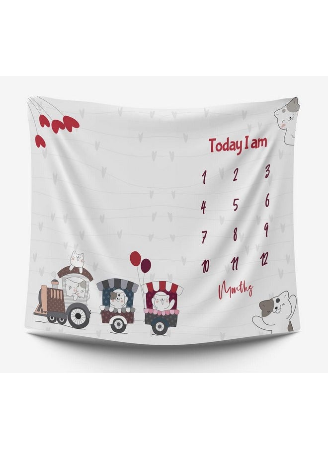 Novo Baby - Milestone Blanket & Props For Baby'S |1 To 12 Months Prop |Ac Room Blanket For Summer | Newborn Baby Blanket | Infants Winter Blanket | Baby Bedding -90X120 (Striped, White, Fleece) - Image 1