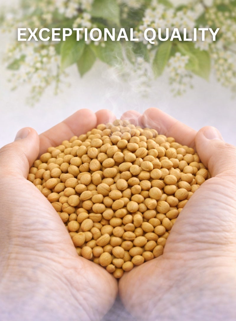 زهر بذور البرقوق المحلب المجففة (بذور المحلب) - بذور نباتية طبيعية فاخرة | محلب نقي 100% للاستخدام في البستنة والزراعة والنباتات والأعشاب. - Image 3