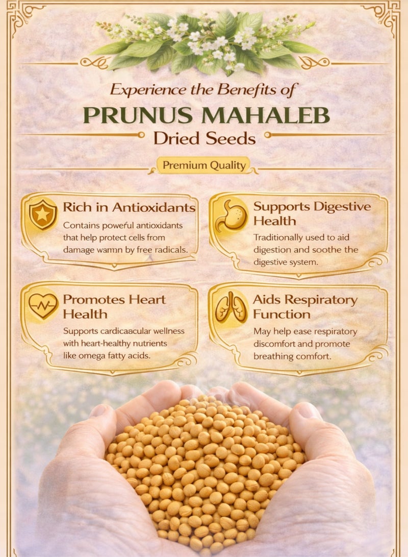 زهر بذور البرقوق المحلب المجففة (بذور المحلب) - بذور نباتية طبيعية فاخرة | محلب نقي 100% للاستخدام في البستنة والزراعة والنباتات والأعشاب. - Image 4