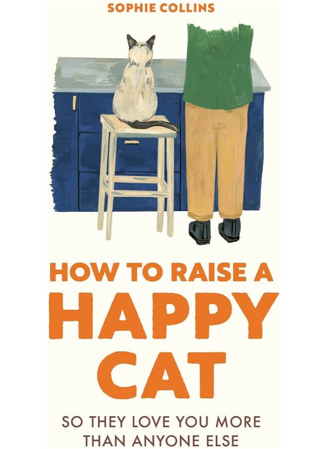 How to Raise a Happy Cat 