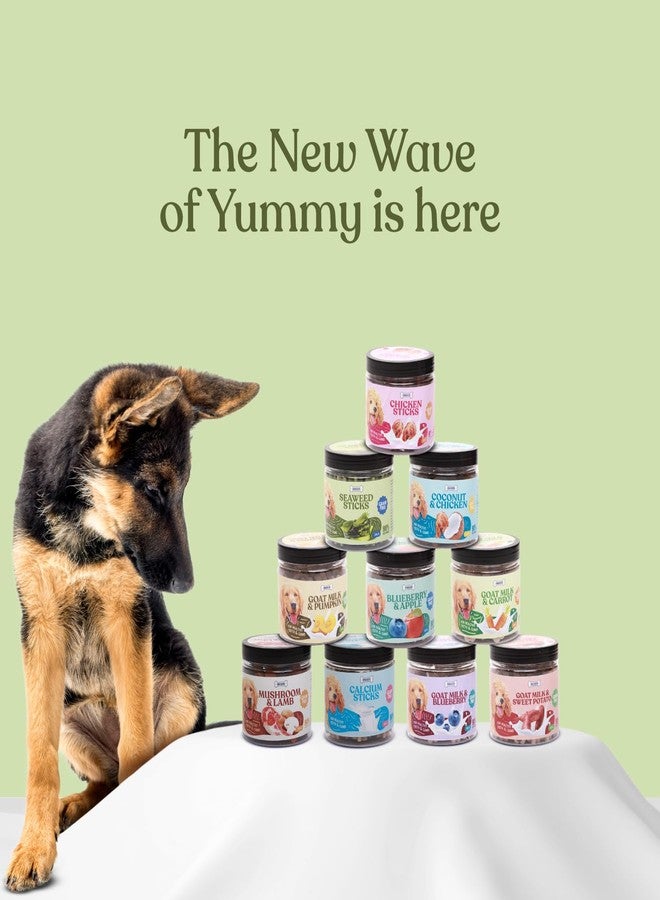 Snackers Twisted Seaweed Sticks Dog Treats with Jar 200g | Grain-Free Healthy Chews for Dogs | Supports Teeth & Gums - Image 4