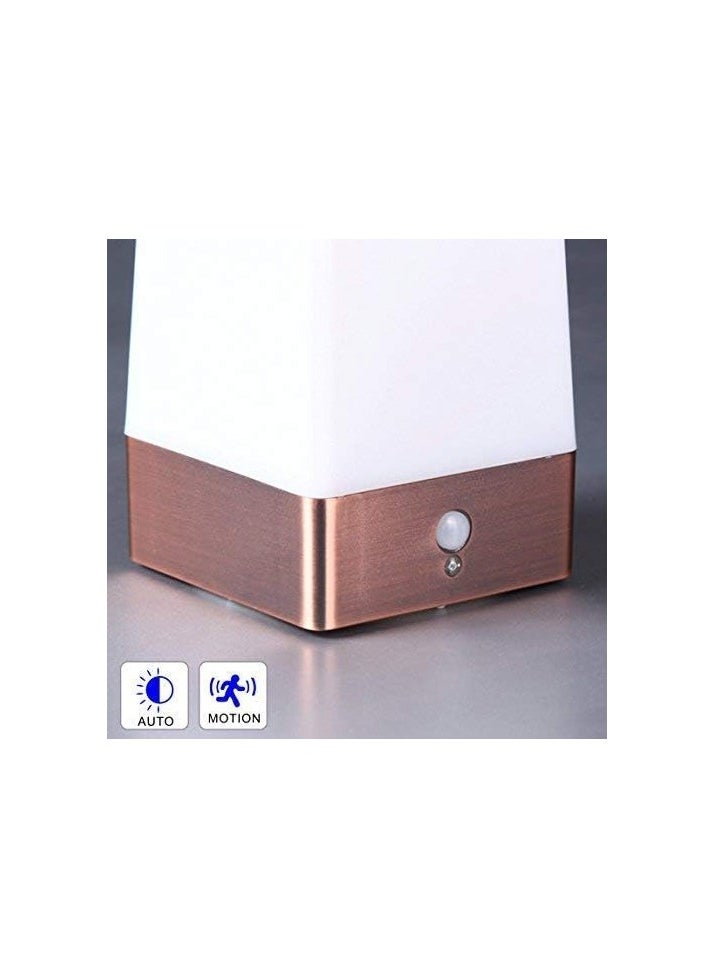 Goolsky Bedside Lamp PIR Motion Sensor LED Night Light,3 Modes Battery Powered Small Table Lamp,USE 3x1.5VAAA Battery,Sensitive Portable Moving Lamp  - Image 2