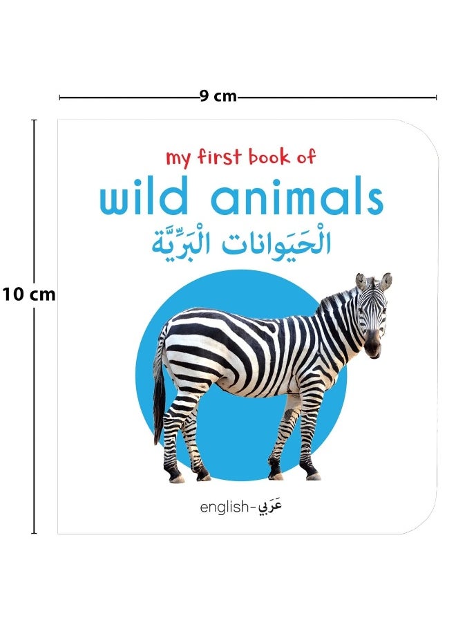My First English-Arabic Learning Library: Bilingual Boxset of 10 Picture Board Books for Kids - Covers Basic Concepts and Everyday Topics  - Image 5