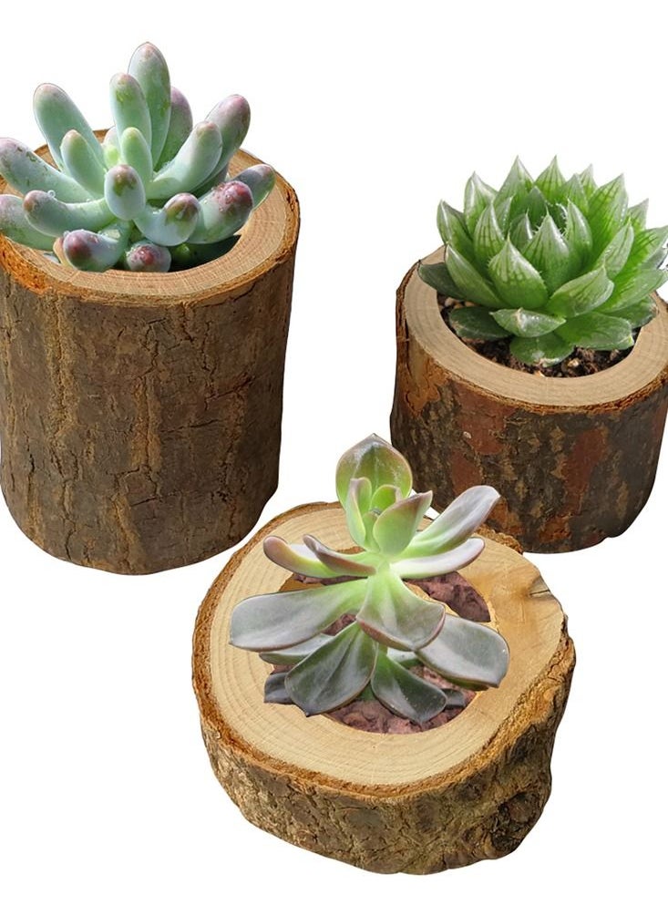 Generic - 3pcs New Pillar Design Tealight Candlestick Wooden Candle Holder Mini Flower Pot Home Garden Decoration - Image 1