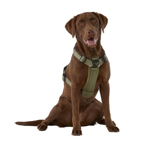 KONG Ultra Durable Waste Bag Harness (Medium, Green) - Image 2