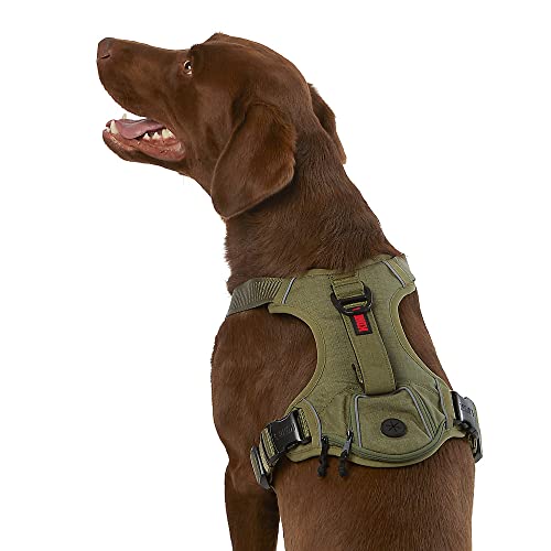 KONG Ultra Durable Waste Bag Harness (Medium, Green) - Image 5