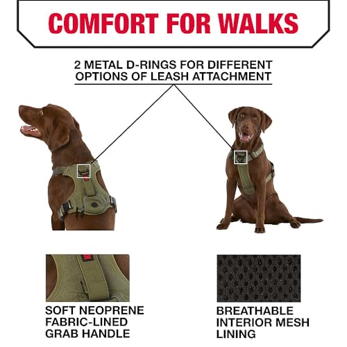 KONG Ultra Durable Waste Bag Harness (Medium, Green) - Image 4