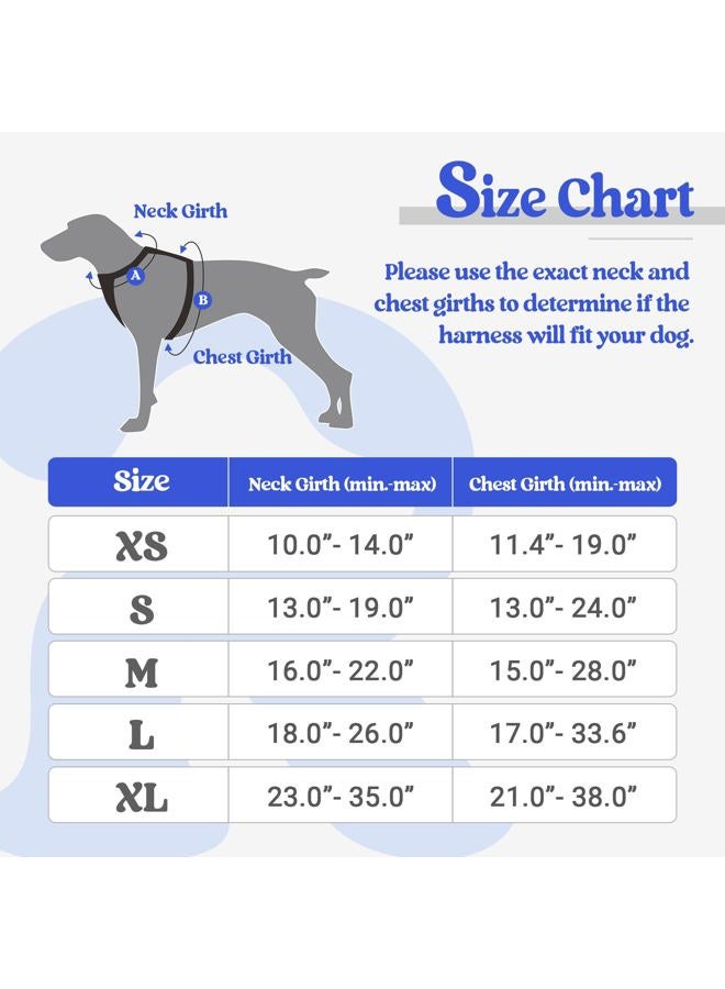 Rabbitgoo Dog Harness No Pull with 2 Leash Clips, Adjustable Soft Padded, Reflective Oxford No Choke Pet Vest with Easy Control Handle for Puppy, Dazzling Blue,XS - Image 2