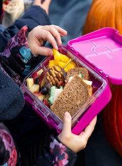 Snack Attack Bento Box or Lunch Box for Kids 4 & 6 Conertible