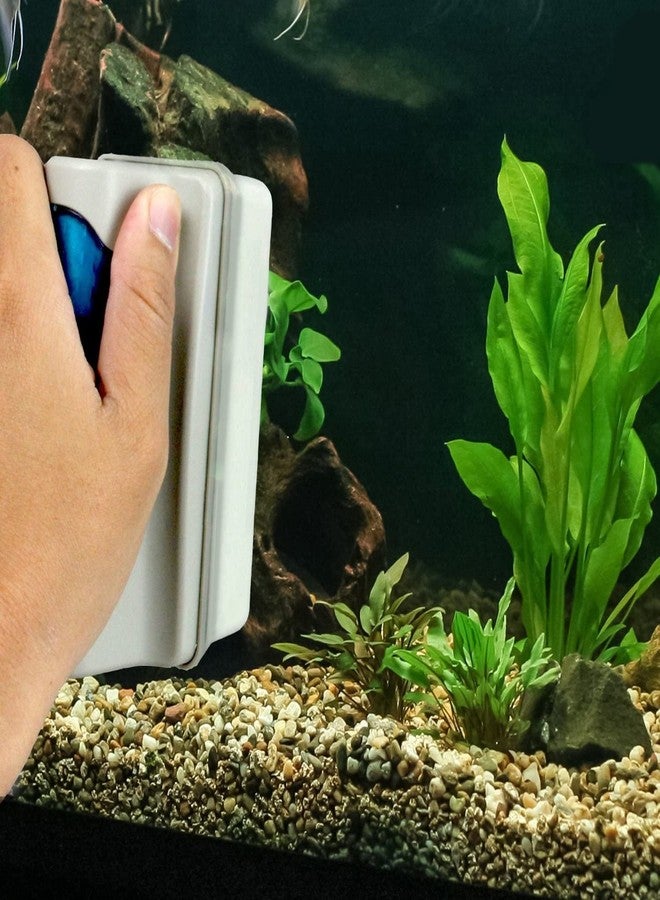 VAYINATO Kintons Green Series IQ 003 L Floating Magnetic Cleaner for Aquarium Tank(Large) - Image 5