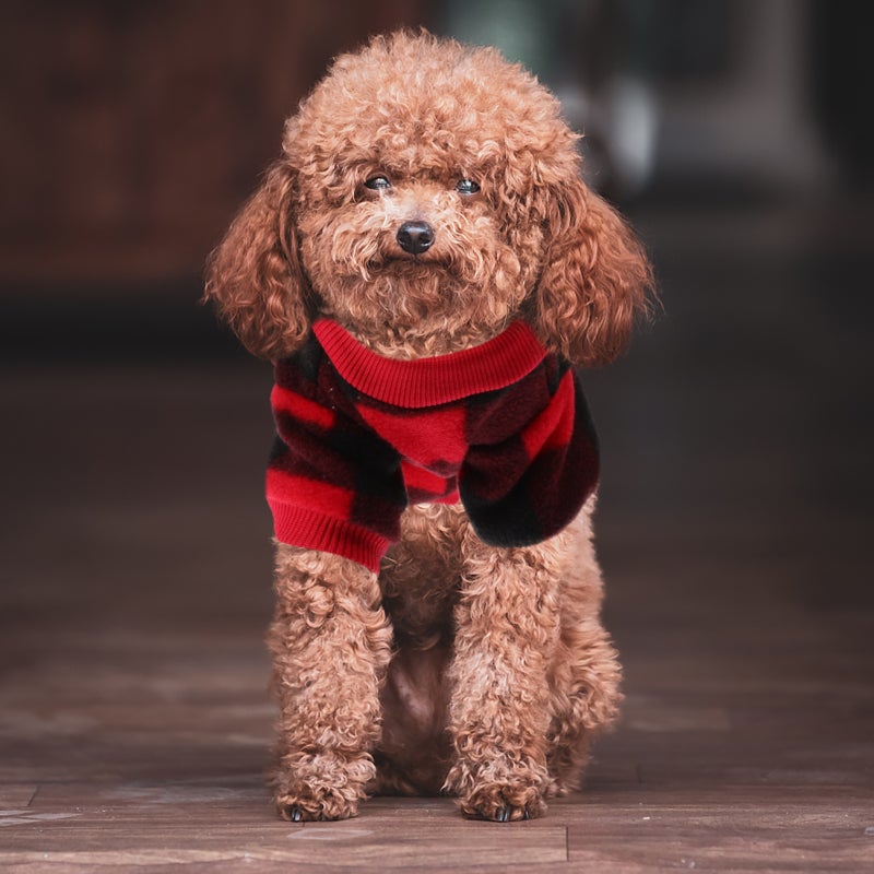 Small Dog Sweater Fleece Vest Winter Jacket Puppy Cold Weather Clothes Windproof (L) - Image 3