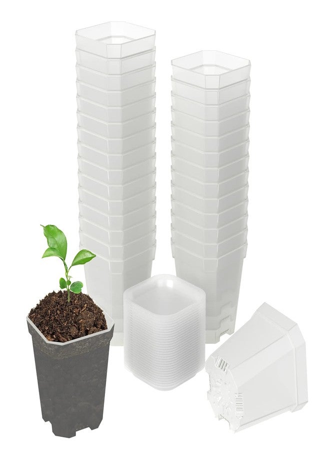Foxany 3" Clear Nursery Pots, 30 Pcs Thick Plastic Plant Pots, Square Flower Planting Pots, Seedling Planter Seed Starter Pots with Saucers - Image 1