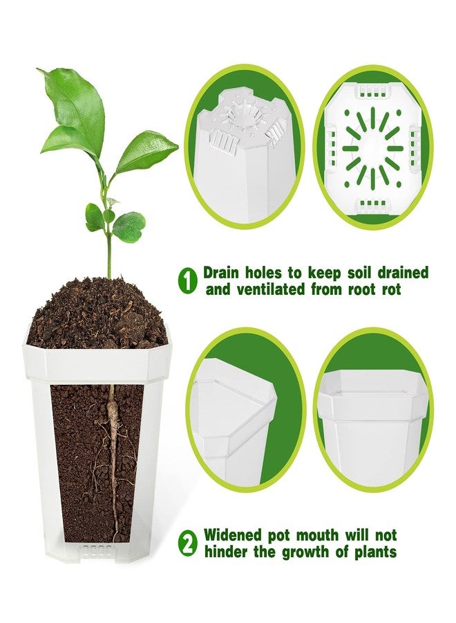 Foxany 3" Clear Nursery Pots, 30 Pcs Thick Plastic Plant Pots, Square Flower Planting Pots, Seedling Planter Seed Starter Pots with Saucers - Image 3