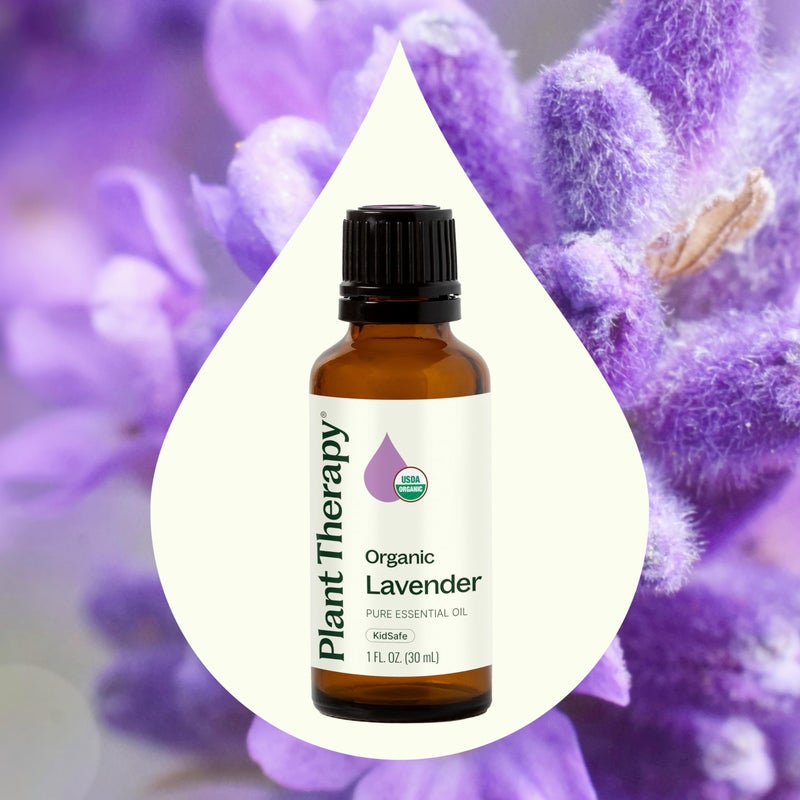 Plant Therapy Organic Lavender Essential Oil 100% Pure, USDA Certified Organic, Undiluted, Natural Aromatherapy for Diffusion & Topical Use, For Skin, Hair, Relaxation, Premium Therapeutic Grade 30 mL - Image 3