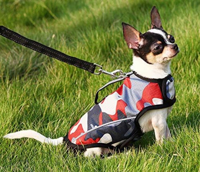 Winbate Dog Anxiety Jacket- Keep Calmig Vest Reflective Thunder Coat with D-Ring and Training Handle for Small Medium Large Dogs,Camouflage - Image 4