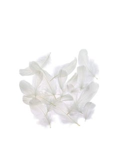 Feather Confetti - 5g Pure White Color Elevate Your Celebrations with Timeless Sophistication
