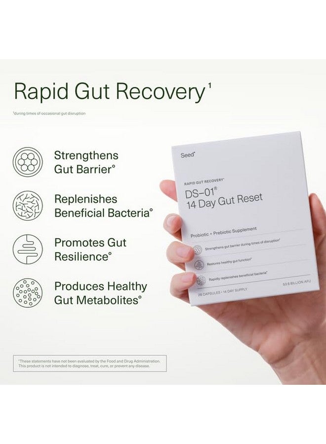سيد Seed 14 Day Gut Reset - بريبايوتيك وبروبيوتيك للنساء والرجال - صحة الجهاز الهضمي، صحة الأمعاء، التعافي السريع للأمعاء، تخفيف الانتفاخ والإمساك - نباتي ومستقر على الرف - 28 كبسولة (إمدادات لمدة 14 يومًا) - Image 2