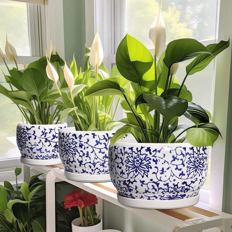 SQOWL 6 Inch Planter - Ceramic Plant Pots Indoor with Drainage Hole and Saucer, Round Ceramic Flower Pot Outdoor, Porcelain Decorative Planter, Backyard Decor, Gifts for Plant Lovers, Blue and White - Image 5