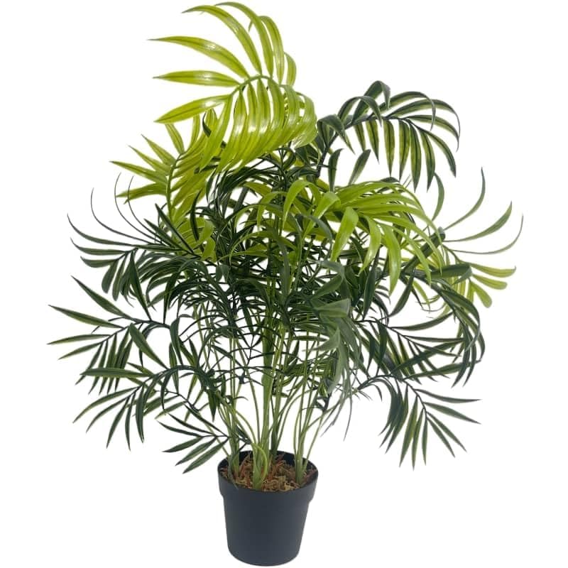 Fox & Fern Chamaedorea Artificial Plant | with Basic Pot| Elevate Any Corner of Your Home/Garden | Best for Gifting (Ht. 54CM) 54CMCP - Image 1