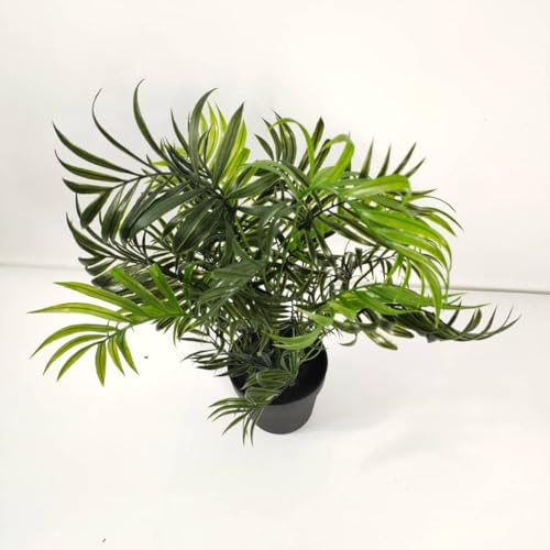 Fox & Fern Chamaedorea Artificial Plant | with Basic Pot| Elevate Any Corner of Your Home/Garden | Best for Gifting (Ht. 54CM) 54CMCP - Image 2