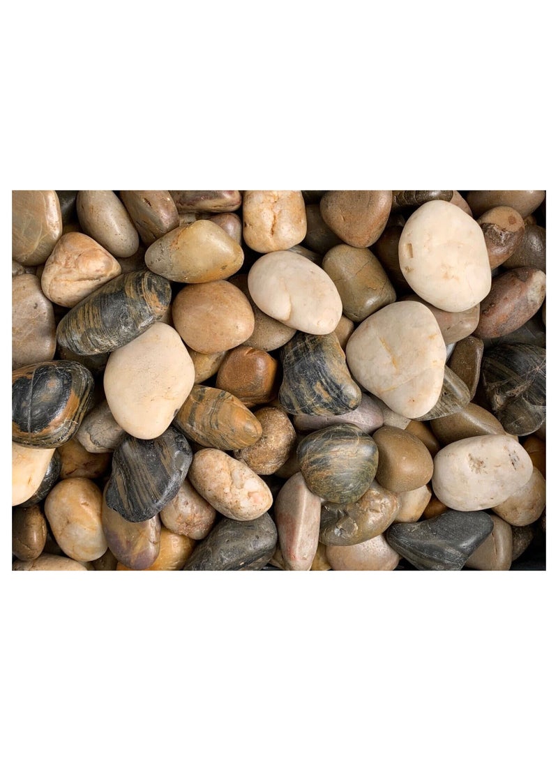 Bag of Decorative River Pebble Rocks - Image 2