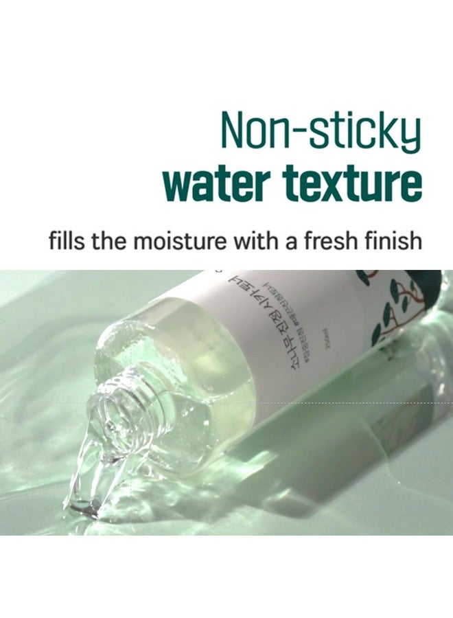 راوند لاب تونر سيكا المهدئ بخلاصة شجرة الصنوبر من راوند لاب، 8.45 أونصة سائلة، سيروم للوجه، تهدئة مكثفة للبشرة الحساسة، العناية بالبشرة وتجديدها، حيوية قوية مع ماديكاسايد - Image 3